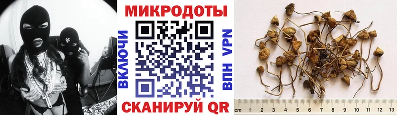 Псилоцибиновые грибы MAGIC MUSHROOMS  Купить где  Кисловодск 